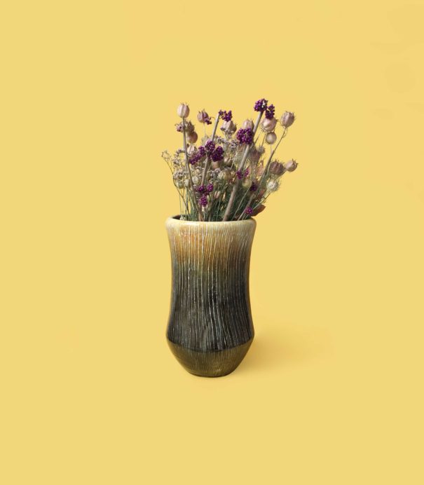 Le Vase Zebré