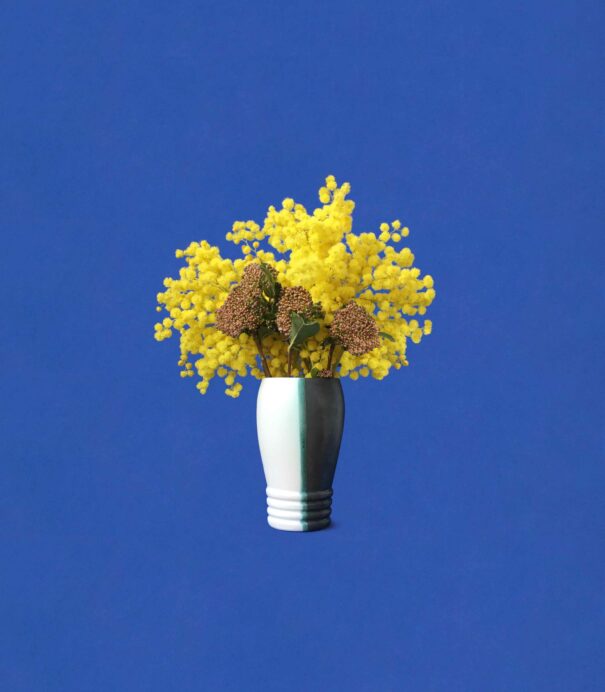 Le Vase Aegitna